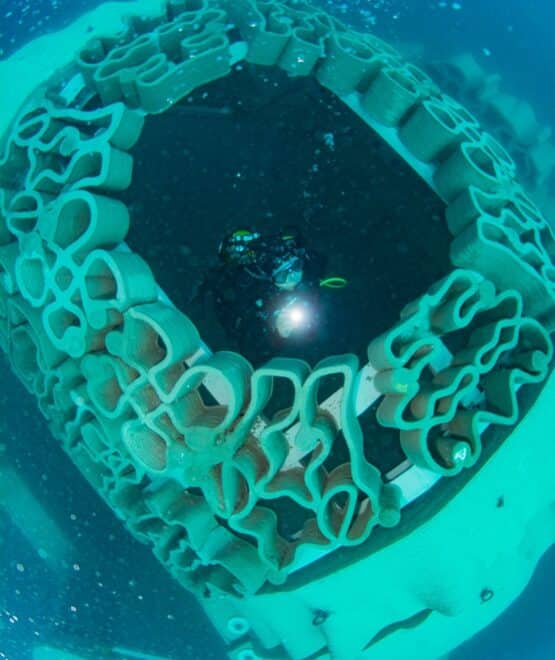 Man made coral reefs