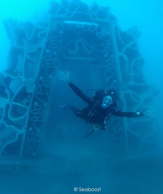 Man made coral reefs